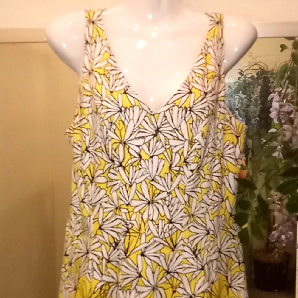 Maggy London Floral A line Printed Dress